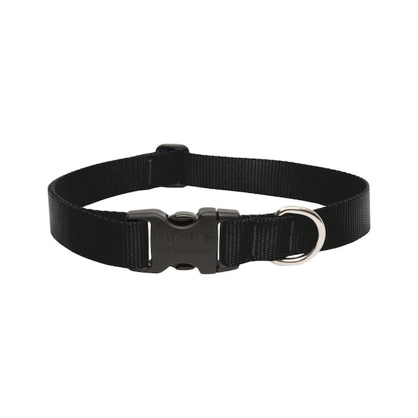 Lupine DOG COLLAR 1220""ADJ BLK 27552 Zoro